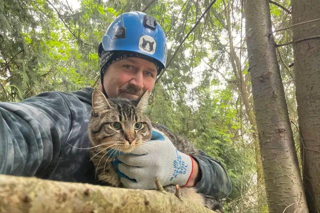 Canopy Cat Rescue: The Team Rescuing Cats From the Treetops | Heroes of the Pet World