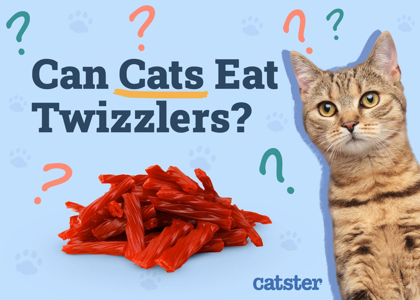 Catster_Can Cats Eat Twizzlers_v1_Dec 4 2024