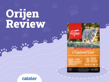 Orijen Cat Food Review of 2026: Recalls, Pros & Cons