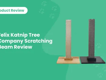 Felix Katnip Tree Company Scratching Beam Review 2026: Pros, Cons & Verdict