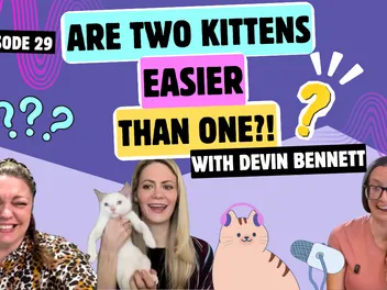 Chatting with Devin About Here! Have a Kitten, Fostering, & Why Two Are Better Than One | Chatty Cattys, Episode 29