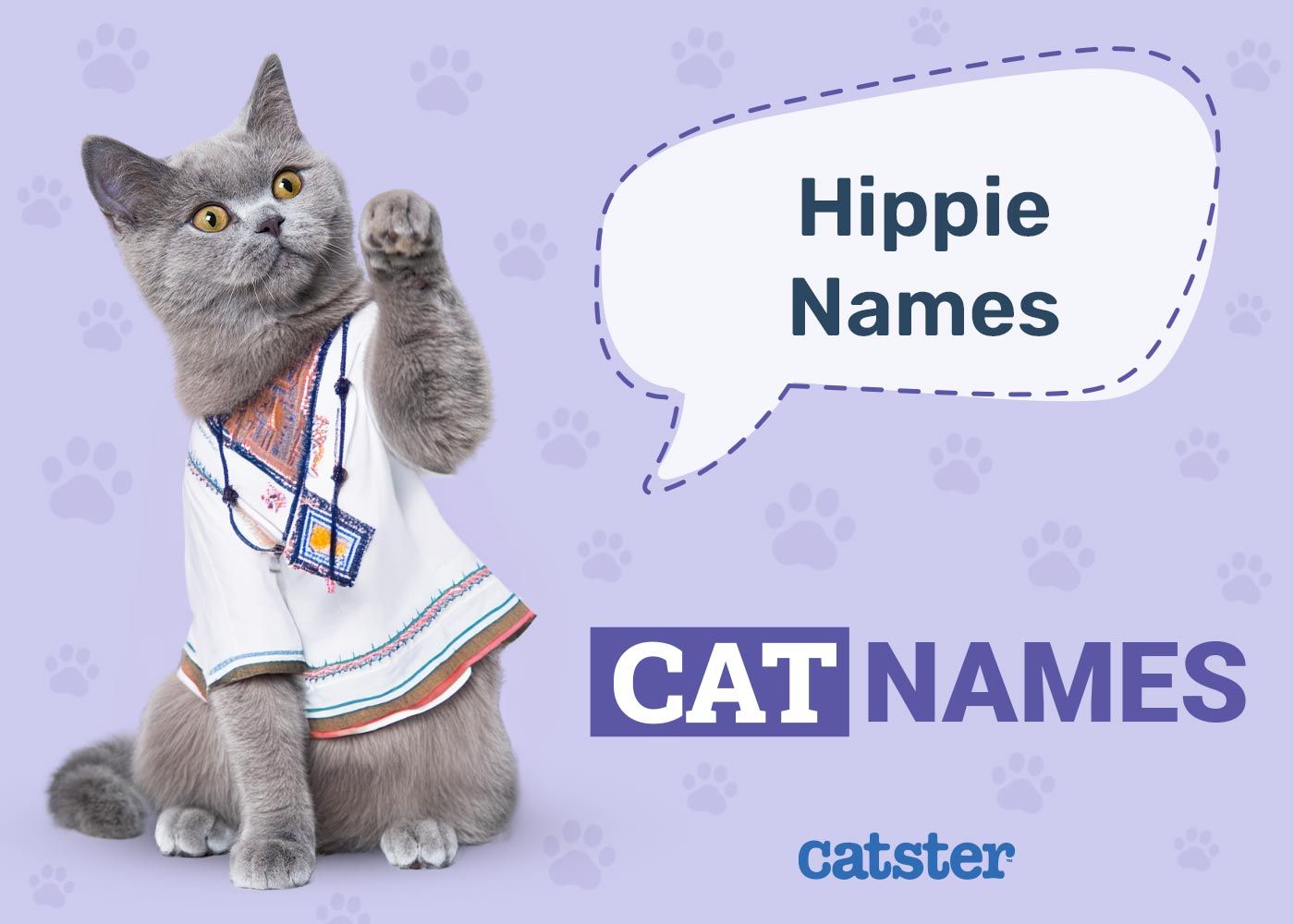 Hippie Cat Names