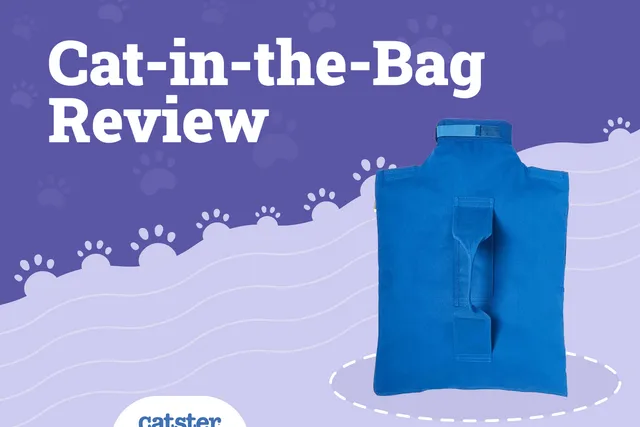 Cat-in-the-Bag Cat Carrier Review of 2026: Pros & Cons