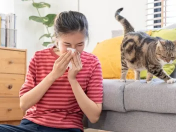 How to Tell If You're Allergic to Cats: 7 Signs to Look For