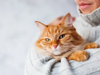 8 Ways People Are Like Cats: Genetics, Traits & More