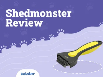 Shedmonster Cat De-Shedding Tool Review 2026 – Pros, Cons, & Verdict