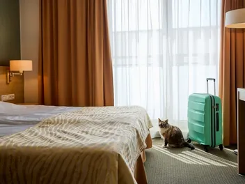 3 Pet Friendly Hotels in Columbia, SC (2026 Update)