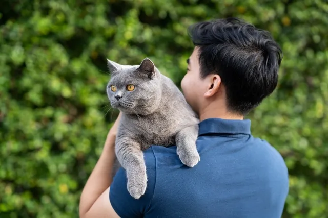12 Reasons to Love Cats: Interesting Facts You Need to Know