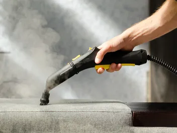 Does Steam Cleaning Kill Fleas? Vet-Approved Effectiveness & Safety Explored