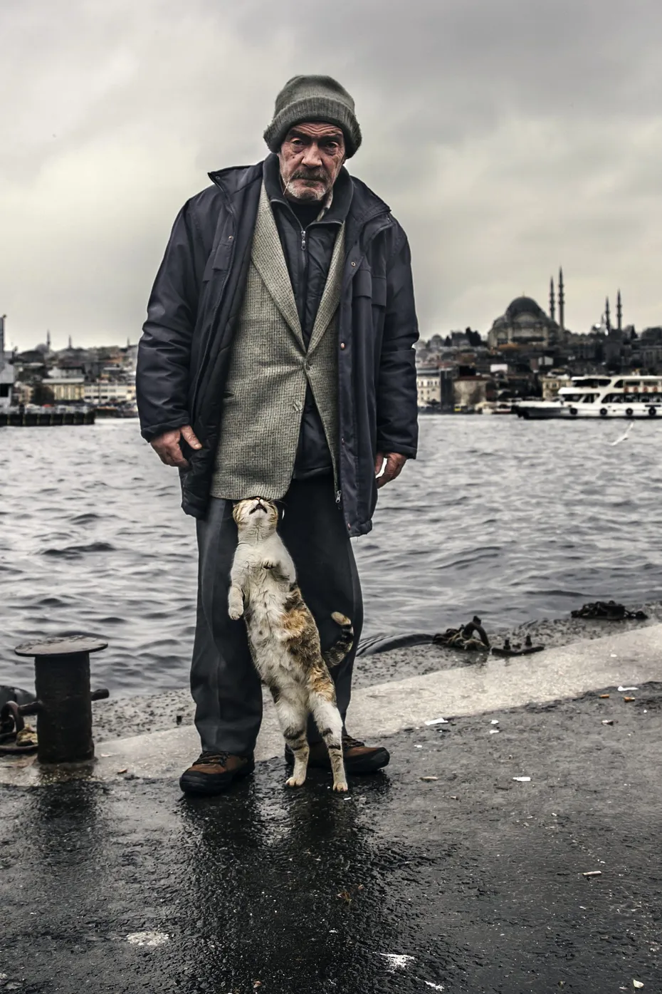 Weekly Mews - Capturing Catstanbul 16