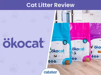 Okocat Cat Litter Review of 2026: Recalls, Pros & Cons