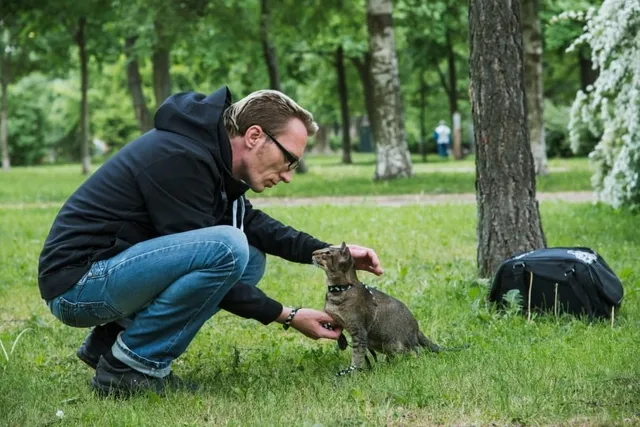 How to Show Dominance to a Cat: 10 Tips for Becoming More Assertive