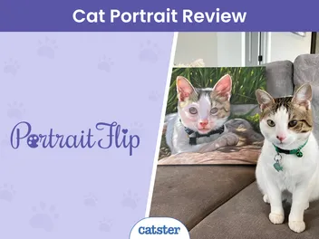 PortraitFlip Pet Portrait Review 2026: Our Expert’s Opinion