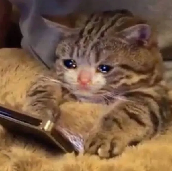 Another Sad Video