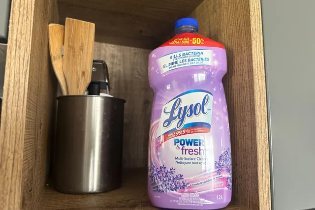 Does Lysol Kill Fleas on Cats? Vet-Verified Facts & Safety Guide