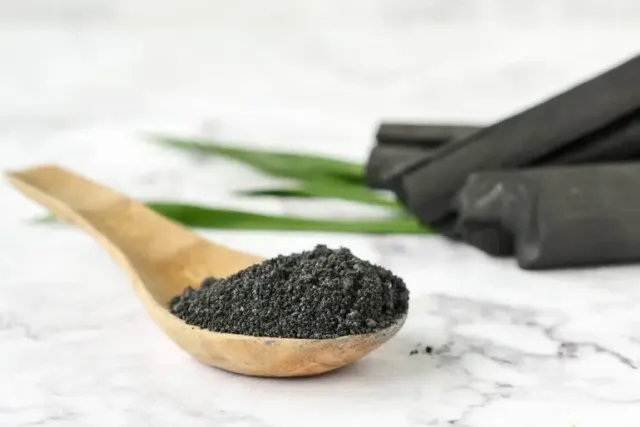 Activated Charcoal for Cats: Our Vet Discusses Benefits and Risks