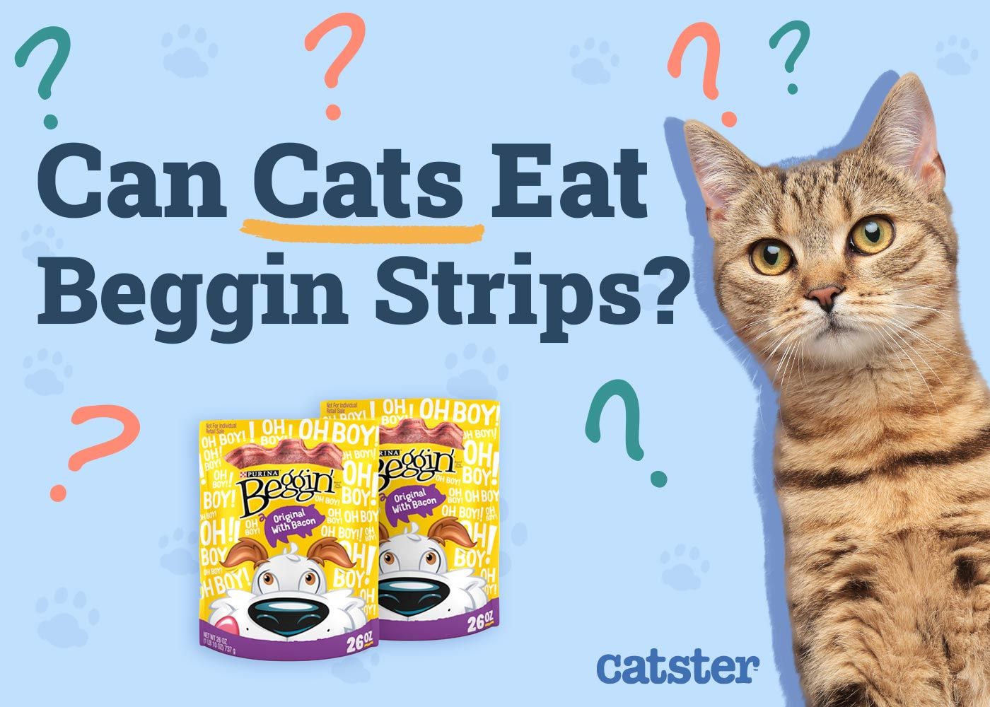 Can Cats Eat Beggin’ Strips