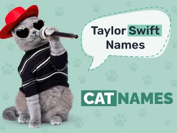 107 Taylor Swift-Inspired Cat Names for Your Musical Kitten