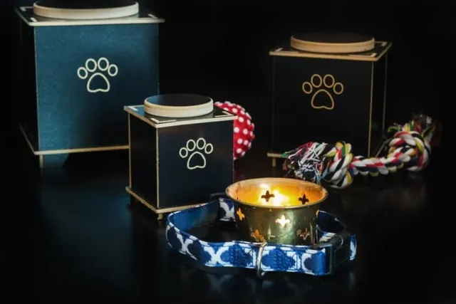 Is Cat Cremation the Right Option for Your Pet? Vet-Reviewed Guide