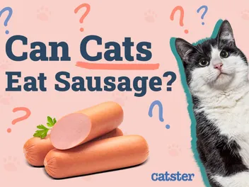 Can Cats Eat Sausage? Vet-Reviewed Nutritional Facts & FAQ