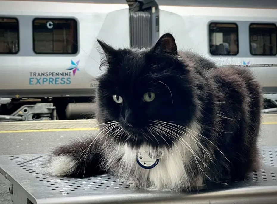 Felix in front of a train