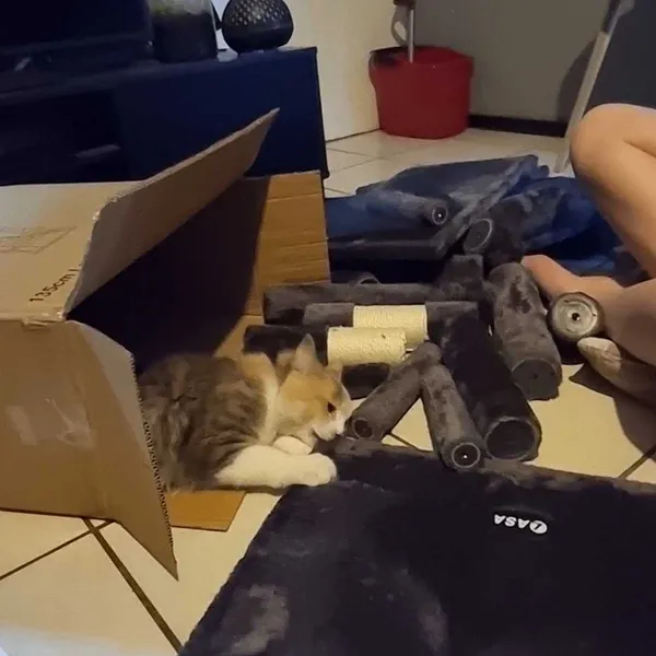 Assisting cat tree assembly