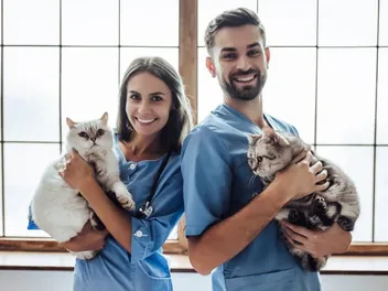 A Day In The Life Of A Veterinarian: What Goes On Behind The Scenes