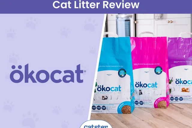 Okocat Cat Litter Review of 2026: Recalls, Pros & Cons