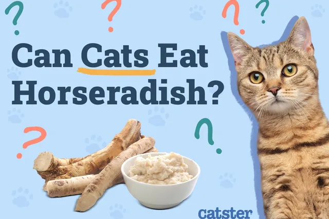 Can Cats Eat Horseradish? Vet-Approved Nutrition Facts