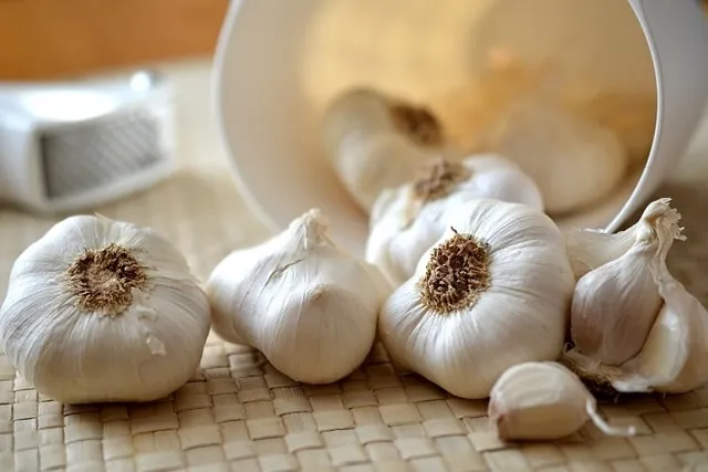 Does Garlic Kill Fleas On Cats? Vet Reviewed Effectiveness Safety Explained