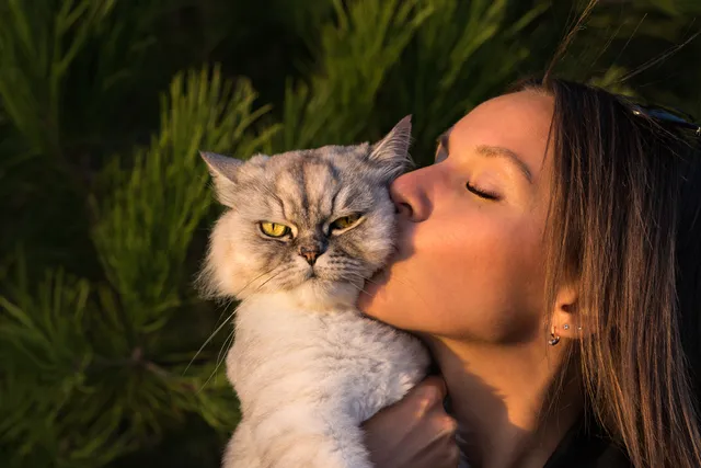 Does My Cat Hate Me? Signs, Causes & What to Do About It (Vet-Verified)