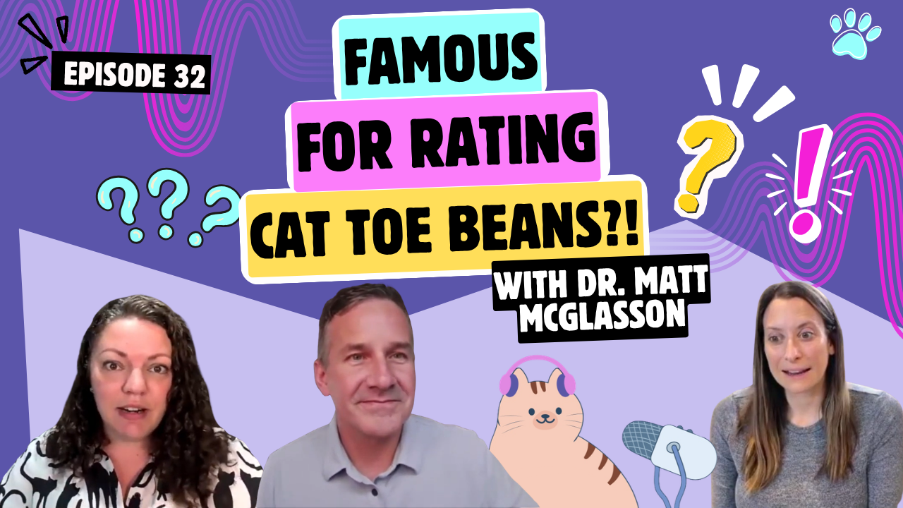 Chatting With Dr. Matt McGlasson About Special Needs Kitties, Social Media Fame, and Rating Cat Toe Beans | Chatty Cattys, Episode 32