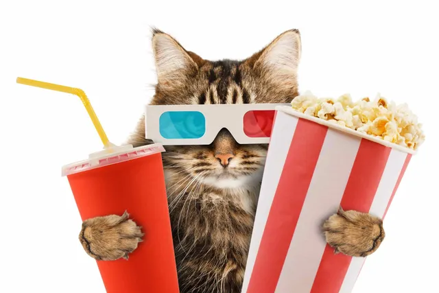 Feline Actors: Our 20 Favorite Movies Starring Cats
