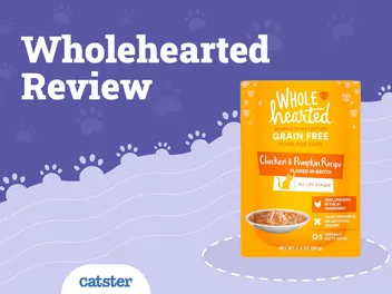 WholeHearted Cat Food Review in 2026: Recalls, Pros & Cons