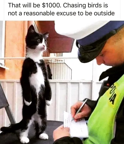 Raise Your Hand