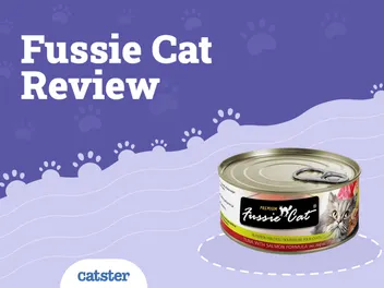 Fussie Cat Food Review of 2026: Recalls, Pros & Cons