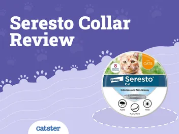 Seresto Flea & Tick Cat Collar Review in 2026: Pros & Cons