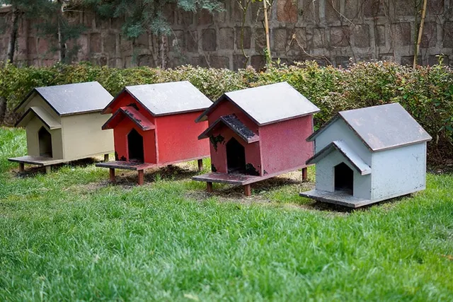 How to Build an Insulated DIY Outdoor Cat House: Step-By-Step Guide