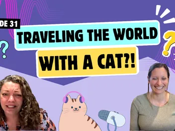 Chatting About Traveling With Cats, Beach Cats, and Telling Cats Off With Your Eyes | Chatty Cattys, Episode 31