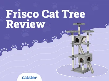 Frisco Cat Tree & Condo Review (2026 Update)