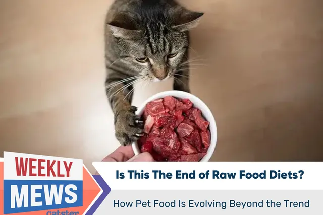 Is This The End of Raw Food Diets? How Pet Food Is Evolving Beyond the Trend