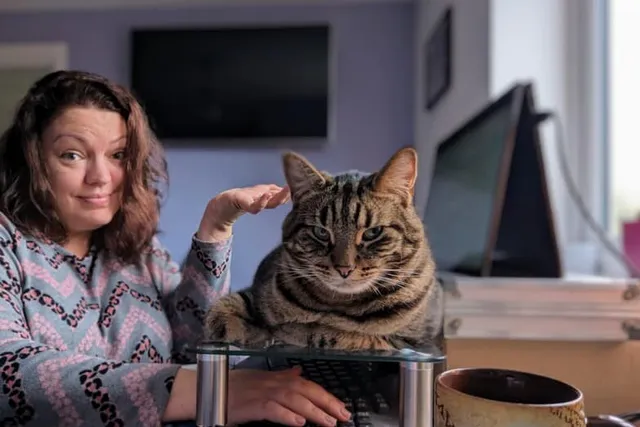 The Perils of Working From Home with a Demanding Cat