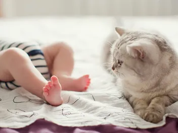 How to Introduce a Cat to a Baby: Vet-Approved Tips & Tricks