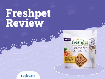 Freshpet Cat Food Review of 2026: Recalls, Pros & Cons