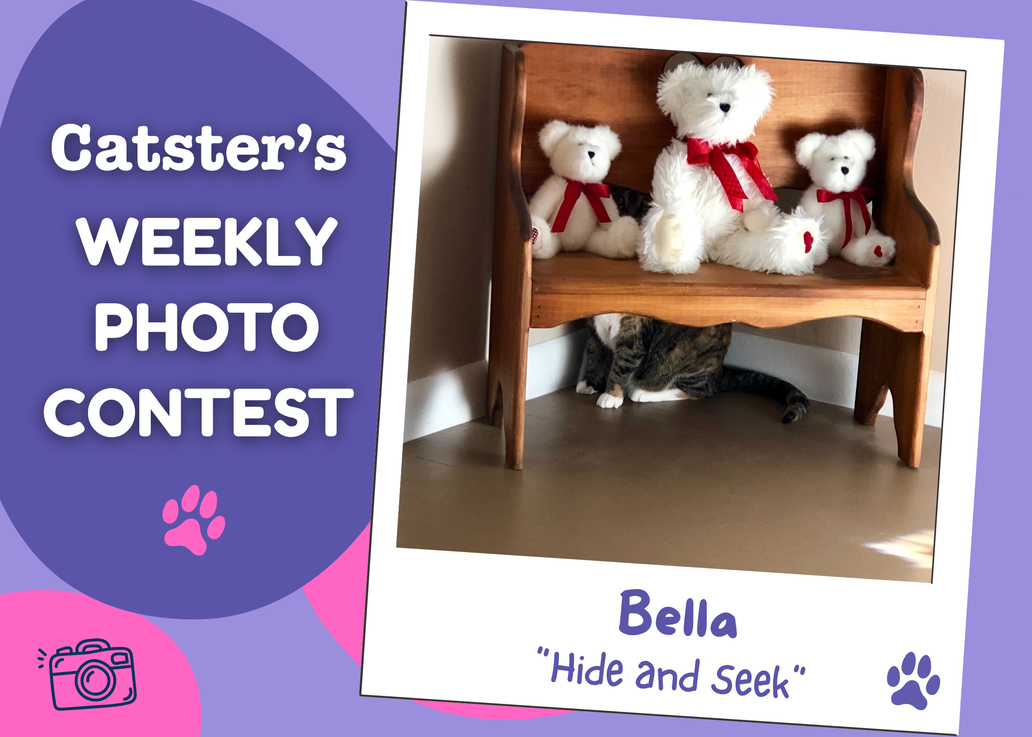 Catster’s Weekly Photo Contest Winners: Hide and Seek (April 30, 2026)