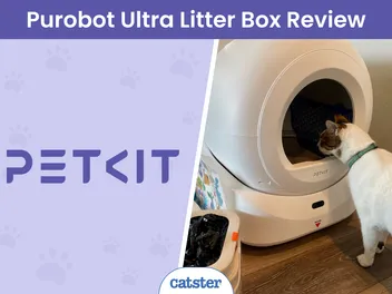 PETKIT Purobot Ultra Litter Box Review 2026: Our Hands-On Test