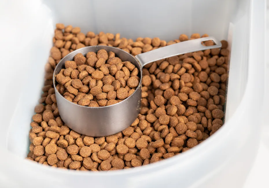 Storage Dry food