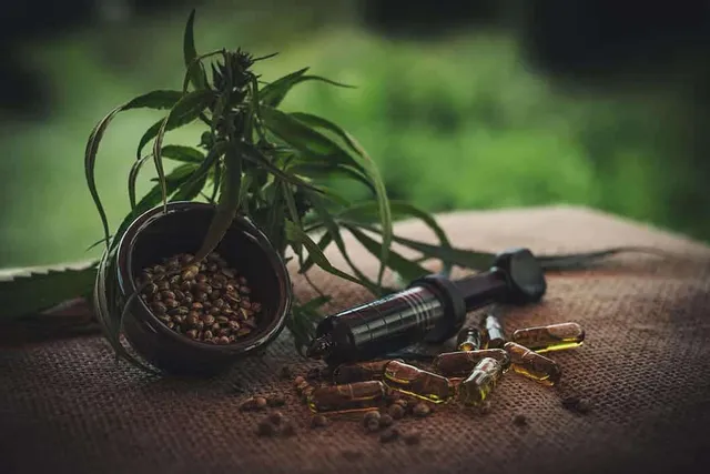 CBD for Cats: Pros, Cons, Uses & Safety (2026 Update)