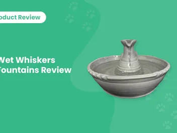 Wet Whiskers Fountains Review (2026 Update)