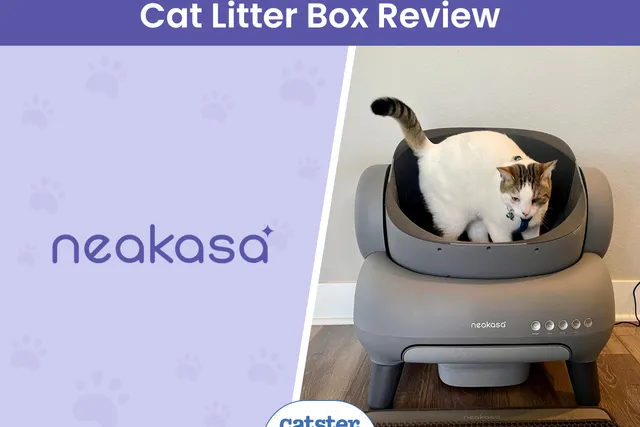 Neakasa M1 Open Top Self-Cleaning Litter Box Review 2026: A Detailed Look